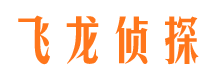 武汉调查事务所